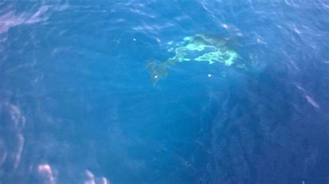 APPART'HOTEL, VUE SUR MER (Casablanca) - Apartment Reviews & Photos ...