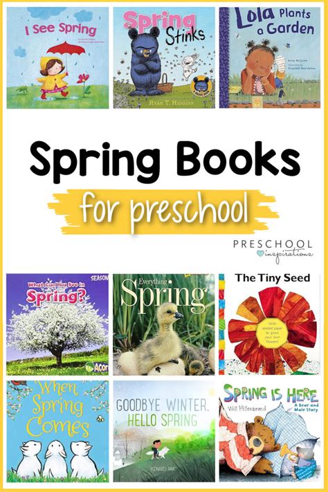 Image result for Sorting through Spring Book