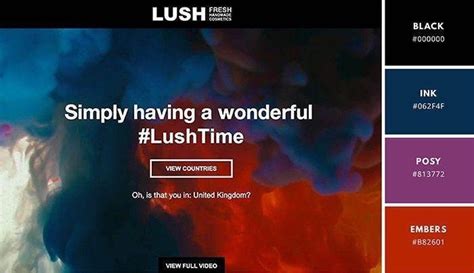 Image result for Web Color Schemes