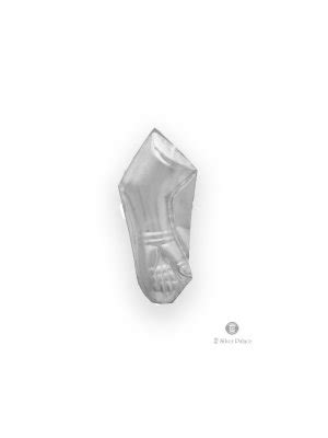 925 Silver Human Hand Silver Sheet For Temple Rituals Shri Collection ...