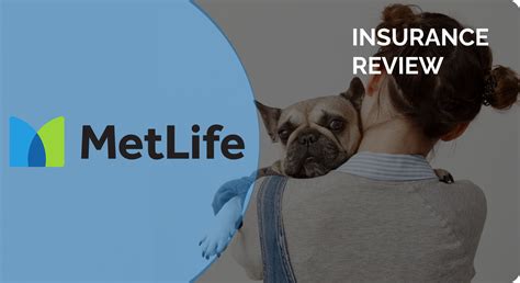 Standard Wellness Metlife Pet Insurance - Life Insurance Quotes