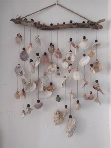 Image result for Ocean Sea Shells