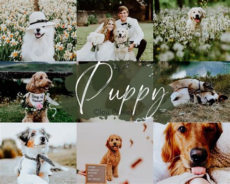 Photography Visual Arts Earthy Tones Pet Preset Filter Dog Influencer ...
