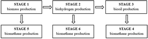 Analysis of Multi-Biofuel Production during Cultivation of the Green ...