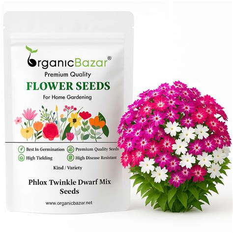 Buy best quality Phlox Twinkle Dwarf Mix seeds – Organicbazar
