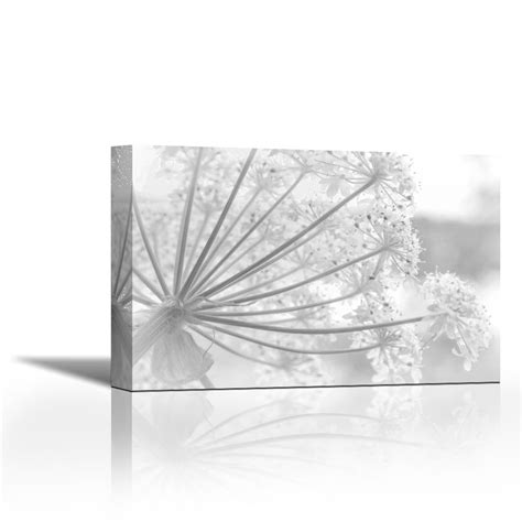 Karmakara Alaska, Glacier Bay Cow parsnip in Bartlett Cove - Fine Art ...