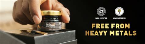 Koshaveda Shilajit Pro by MuscleBlaze, 20 g Shilajit Resin, for ...