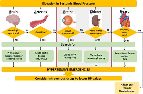 A Worrying and Puzzling Case of Hypertension Presenting to the Emergency Department | Hypertension