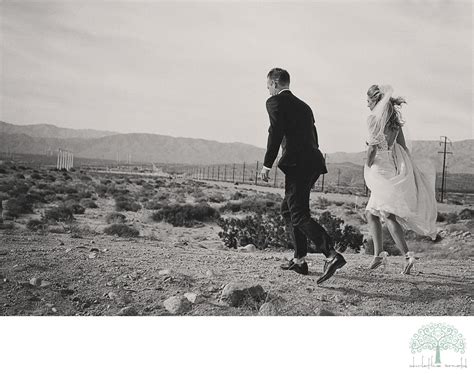 Windy Day Bride 的图像结果