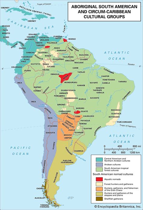 Native To South America