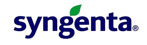 Delighting Corporates With Yummy Home Made Food