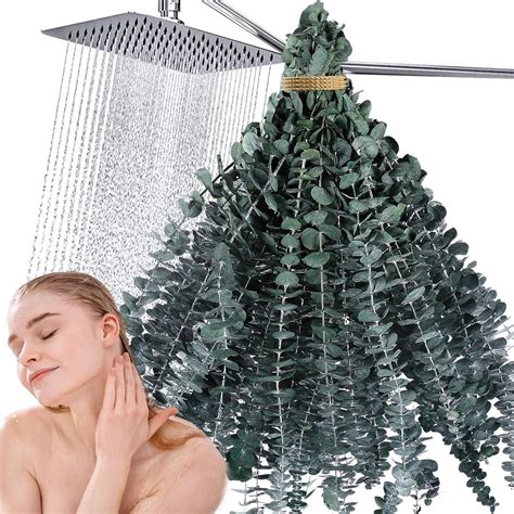 30 PCS Dried Eucalyptus Bundle-17" Natural Fresh Eucalyptus for Shower ,Shower Eucalyptus ...