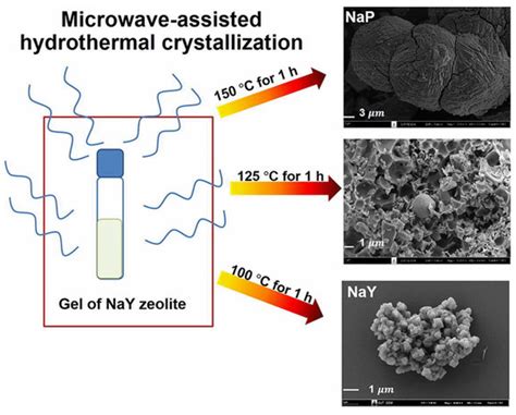 Zeolites: A Theoretical and Practical Approach with Uses in (Bio ...