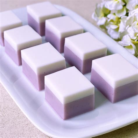 Agar-agar Taro Coconut Milk Jelly Pudding | 芋头椰奶燕菜果冻布丁 – RUYI ASIAN RECIPES