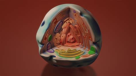 19 Plant Cell Fun Facts - Facts.net