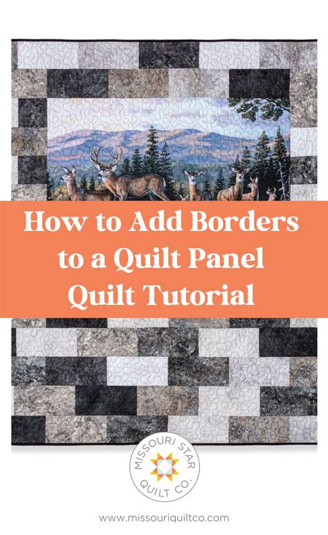 Panel Quilts with Borders 的图像结果