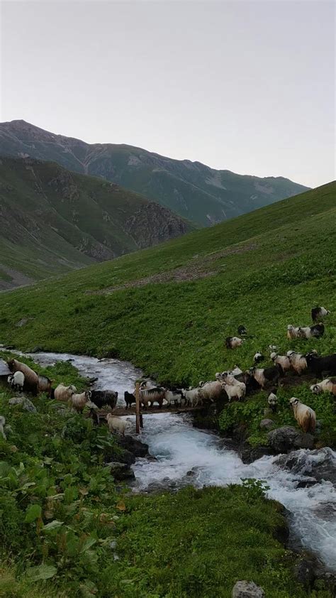 Brooke+Monk+Twerk Videos, Download The BEST Free 4k Stock Video Footage ...