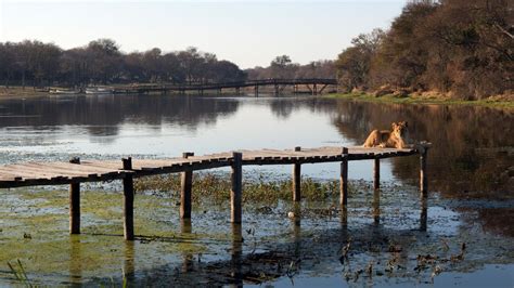 Find Gweru bed & breakfasts deals | momondo