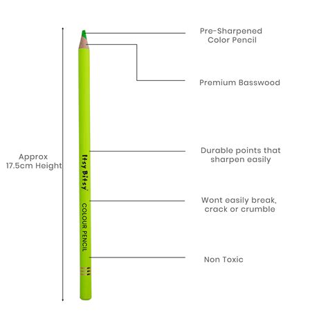 Premium Neon Colour Pencils – Itsy Bitsy