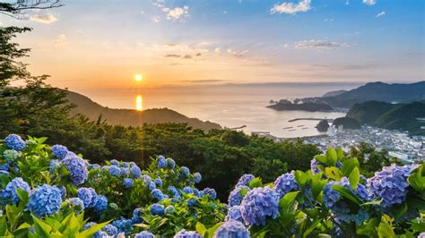 Image result for JavaScript Filter Method