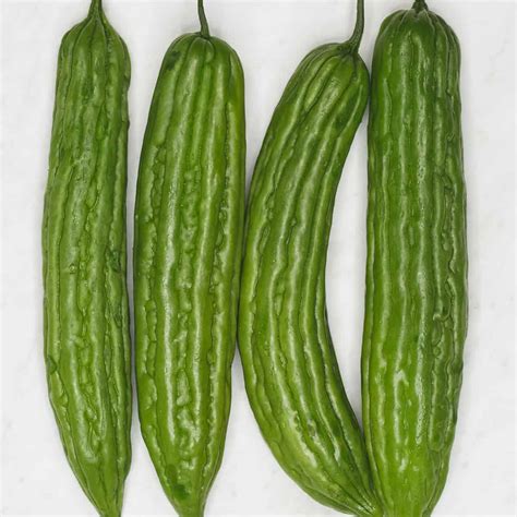 Ampalaya: The Bitter Vegetable You'll Love