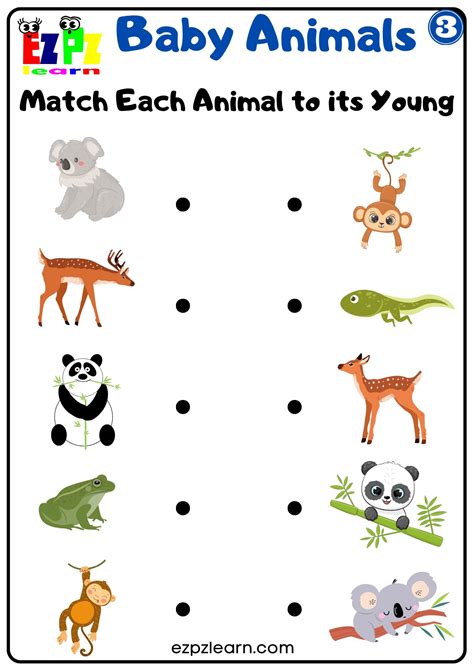 Baby Animals Vocabulary Read and Match the Animals to Their Young ...