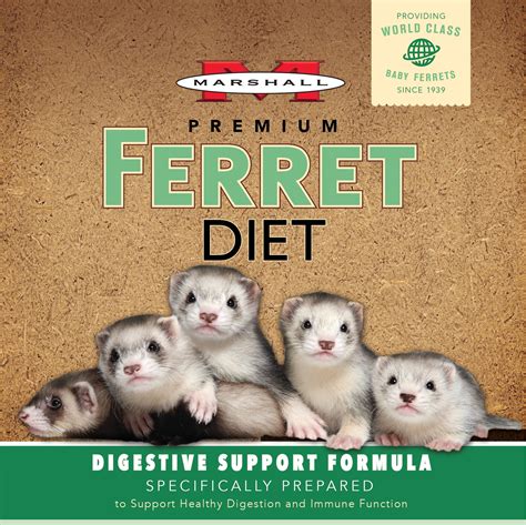 Marshall Pet Products (@marshallpetferrets) • Instagram photos and videos