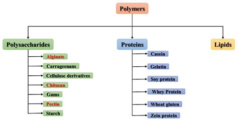 The Use of Chitosan, Alginate, and Pectin in the Biomedical and Food ...