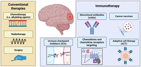 Recent Emerging Immunological Treatments for Primary Brain Tumors: Focus on Chemokine-Targeting ...