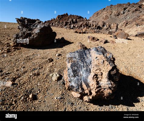 Volcanic bombs of glassy black obsidian on a pumice base near the mines of San Jose in Las ...