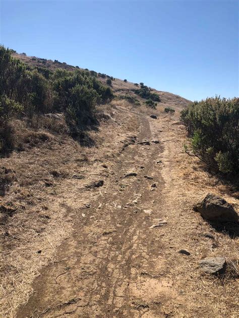 Russian Ridge Open Space Preserve – Roadside Secrets