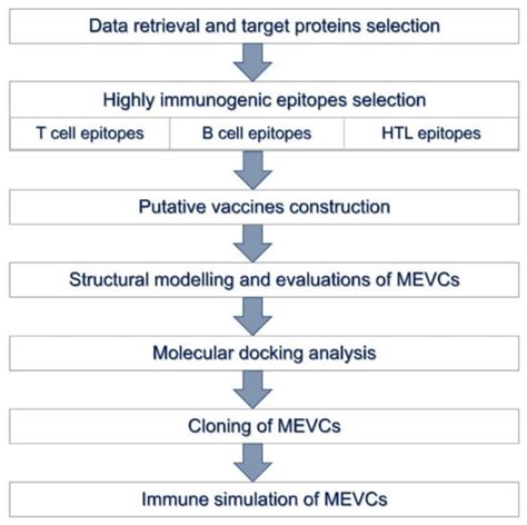 Targeted Protein-Specific Multi-Epitope-Based Vaccine Designing against ...
