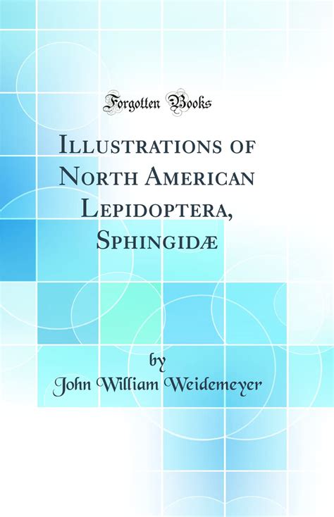 Buy Illustrations of North American Lepidoptera, Sphingidæ (Classic ...
