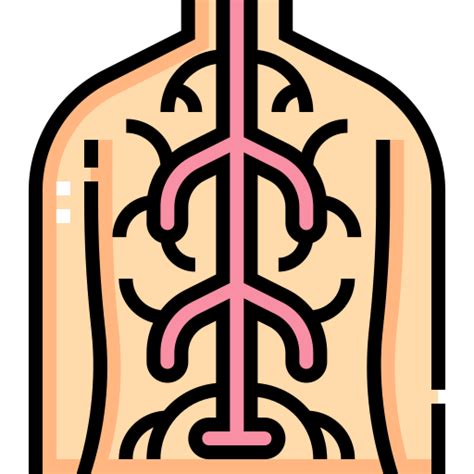 Body - Free healthcare and medical icons