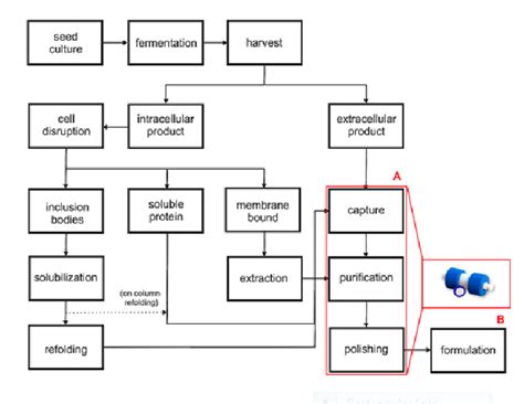 Biotech Process 的图像结果