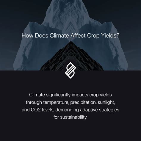 Crop Yields → Term