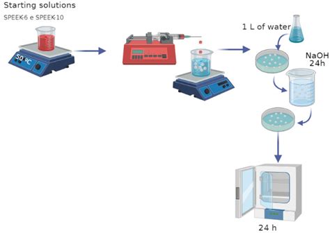Biocompatible Sulphonated PEEK Spheres: Influence of Processing ...