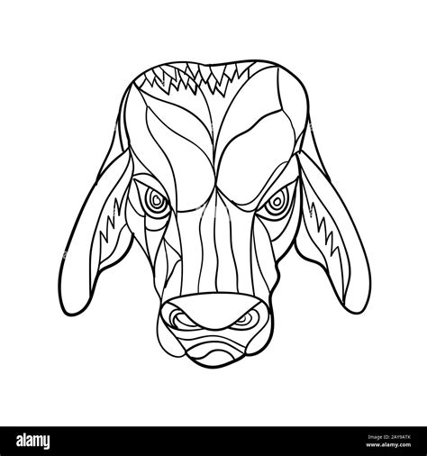 Image result for Alien Portrait Concept