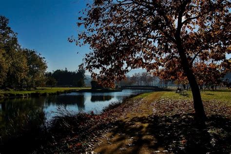 Lake 的图像结果