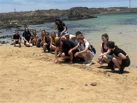 Zespół Szkół im. Czesława Miłosza w Gryficach