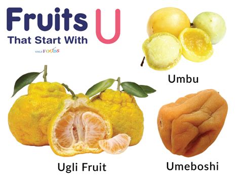 Fruits That Start With U at Samuel Mcintosh blog