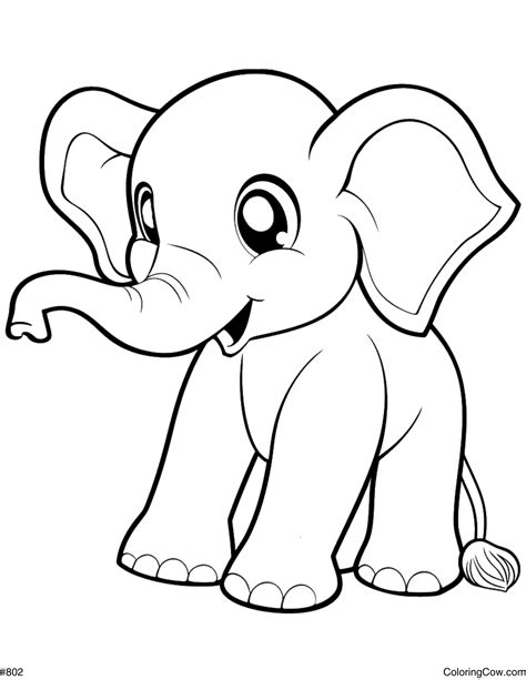 Elephant Coloring Page Cute