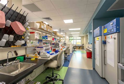 Image result for Hospital Lab Add