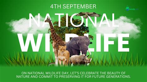 Celebrating National Wildlife Day: Activities and Awareness | Travel Aid