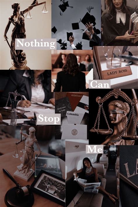 Law Vision Board 的图像结果