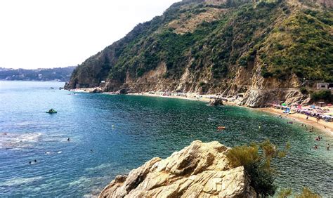 15 Gushers Nutrition Facts: Bursting with Flavor and Goodness - Facts.net