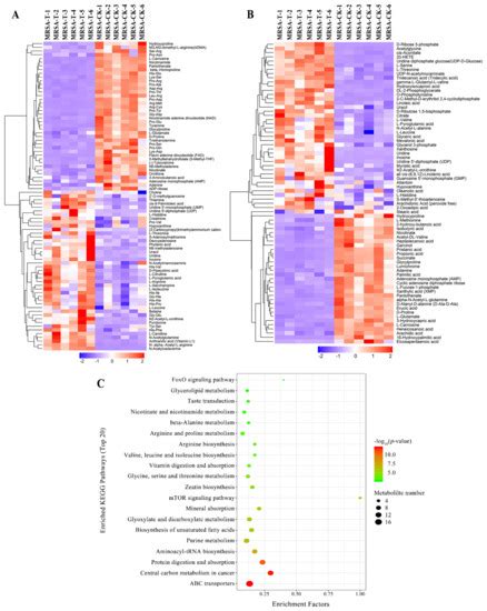 Molecular Details of Actinomycin D-Treated MRSA Revealed via High ...