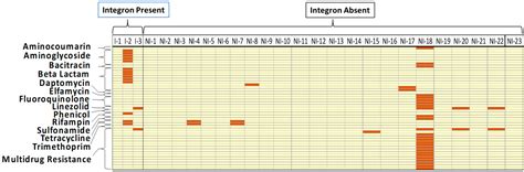 Integron-Mediated Antimicrobial Resistance and Virulence Factors in ...