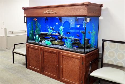 Home Aquariums