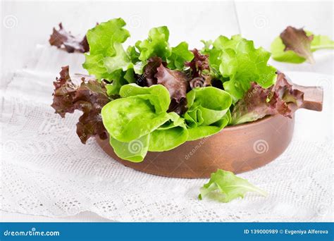 Different Varieties of Lettuce. Stock Image - Image of herb, assorted ...